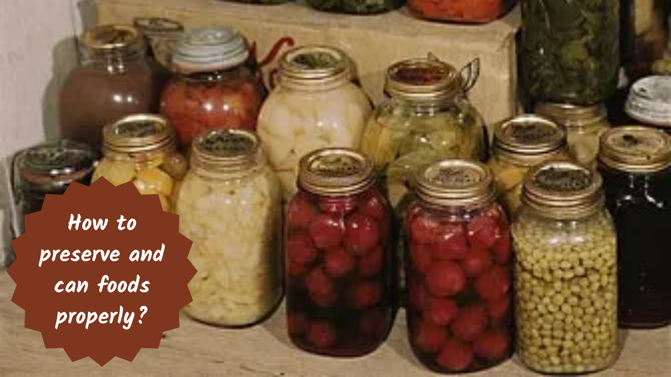 What is Food Preservation and how to do it Properly?